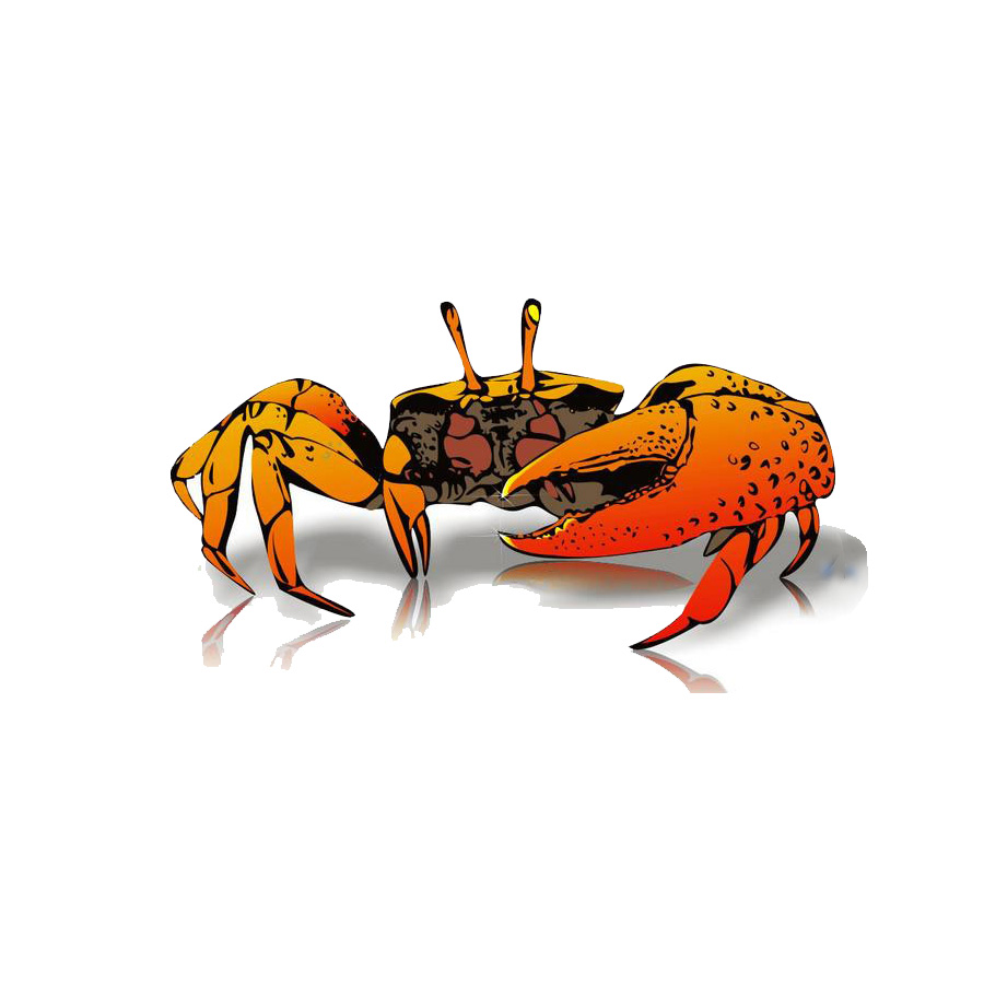 互聯(lián)網(wǎng)+養(yǎng)老產(chǎn)業(yè)，競網(wǎng)建站剝蟹有何招？